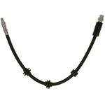 Order Front Brake Hose by RAYBESTOS - BH383329 For Your Vehicle