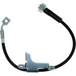 Order Tuyau de frein avant de RAYBESTOS - BH383354 For Your Vehicle