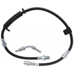 Order Front Brake Hose by RAYBESTOS - BH383399 For Your Vehicle