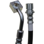 Order Front Brake Hose by RAYBESTOS - BH383402 For Your Vehicle