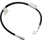 Purchase Front Brake Hose by RAYBESTOS - BH383554