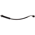 Order Tuyau de frein avant de RAYBESTOS - BH383726 For Your Vehicle