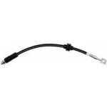 Order Front Brake Hose by RAYBESTOS - BH383801 For Your Vehicle