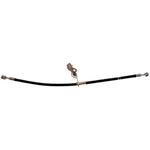 Order Tuyau de frein avant de RAYBESTOS - BH383836 For Your Vehicle
