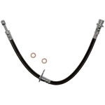 Order Tuyau de frein avant de RAYBESTOS - BH384080 For Your Vehicle