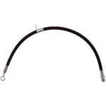 Order Front Brake Hose by RAYBESTOS - BH384227 For Your Vehicle