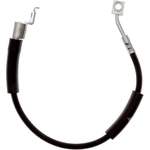 Order Tuyau de frein avant de RAYBESTOS - BH384251 For Your Vehicle