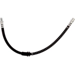 Order Front Brake Hose by RAYBESTOS - BH384254 For Your Vehicle