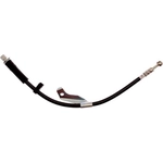 Order Front Brake Hose by RAYBESTOS - BH384424 For Your Vehicle