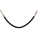 Order Front Brake Hose by RAYBESTOS - BH384437 For Your Vehicle