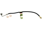 Order Front Brake Hose by RAYBESTOS - BH38820 For Your Vehicle