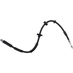 Order SUNSONG NORTH AMERICA - 2205399 - Brake Hydraulic Hose For Your Vehicle