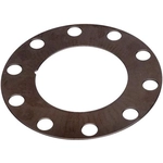 Order Front Brake Rotor Shim by RAYBESTOS - BA40203 For Your Vehicle