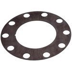 Order Front Brake Rotor Shim by RAYBESTOS - BA40206 For Your Vehicle