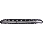 Order Front Bumper Grille - AU1036112C For Your Vehicle