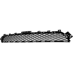 Order Front Bumper Grille - IN1036117 For Your Vehicle