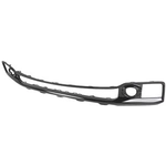 Order VARIOUS MANUFACTURERS - HO1037103 - Front Bumper Insert For Your Vehicle