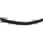 Order Front Bumper Molding - GM1044138 For Your Vehicle