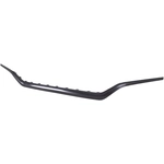 Order Front Bumper Molding by SHERMAN PARTS - HYSANT20-98Q-0 For Your Vehicle