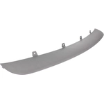 Order Front Bumper Protector - BM1009100 For Your Vehicle