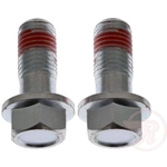 Order Front Caliper Bolt Or Pin by RAYBESTOS - H17036 For Your Vehicle