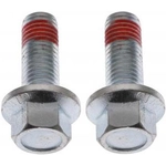 Order Front Caliper Bolt Or Pin by RAYBESTOS - H17039 For Your Vehicle