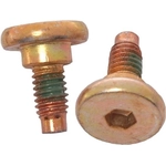 Order RAYBESTOS - H5019W - Front Caliper Bolt Or Pin For Your Vehicle