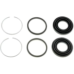 Order Front Caliper Kit by DORMAN/FIRST STOP - D352029 For Your Vehicle
