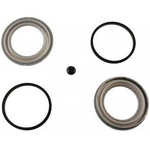 Order Front Caliper Kit by RAYBESTOS - WK290 For Your Vehicle