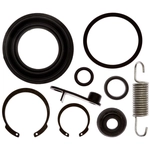 Order Front Caliper Kit by RAYBESTOS - WK4208 For Your Vehicle