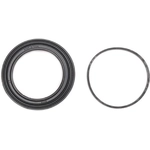 Order Front Caliper Kit by RAYBESTOS - WK806 For Your Vehicle