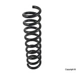Order Front Coil Spring by LESJOFORS - 4056822 For Your Vehicle
