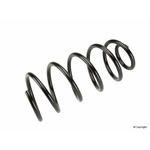 Order Front Coil Spring by LESJOFORS - 4095077 For Your Vehicle
