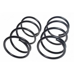 Order LESJOFORS - 4162011 - Coil Spring Set For Your Vehicle