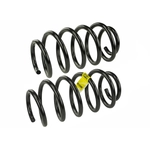 Order Front Coil Springs by MEVOTECH - SMS250151 For Your Vehicle