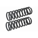 Order Front Coil Springs by MEVOTECH - SMS5006 For Your Vehicle