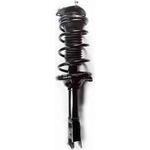 Order Front Complete Strut Assembly by FCS AUTOMOTIVE - 1331773 For Your Vehicle