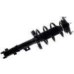 Order FCS AUTOMOTIVE - 1333800L - Suspension Strut and Coil Spring Assembly For Your Vehicle