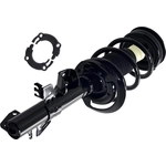 Order Front Complete Strut Assembly by FCS AUTOMOTIVE - 2337127R For Your Vehicle