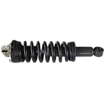Order GSP NORTH AMERICA - 810009 - Suspension Strut and Coil Spring Assembly - Front For Your Vehicle