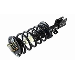 Order GSP NORTH AMERICA - 810022 - Suspension Strut and Coil Spring Assembly - Front Right For Your Vehicle