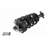 Order GSP NORTH AMERICA - 810043 - Suspension Strut and Coil Spring Assembly - Front For Your Vehicle
