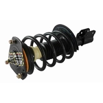 Order GSP NORTH AMERICA - 810226 - Suspension Strut and Coil Spring Assembly For Your Vehicle