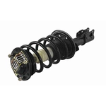 Order GSP NORTH AMERICA - 810334 - Suspension Strut and Coil Spring Assembly For Your Vehicle