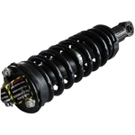 Order GSP NORTH AMERICA - 810352 - Suspension Strut and Coil Spring Assembly For Your Vehicle