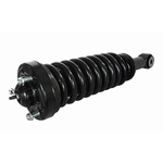 Order GSP NORTH AMERICA - 811326 - Suspension Strut and Coil Spring Assembly - Front For Your Vehicle