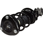 Order Front Complete Strut Assembly by GSP NORTH AMERICA - 813048 For Your Vehicle