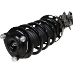 Order Front Complete Strut Assembly by GSP NORTH AMERICA - 813067 For Your Vehicle