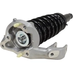 Order Front Complete Strut Assembly by GSP NORTH AMERICA - 813098 For Your Vehicle