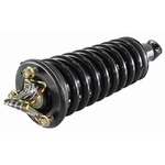 Order GSP NORTH AMERICA - 853016 - Suspension Strut and Coil Spring Assembly - Front For Your Vehicle